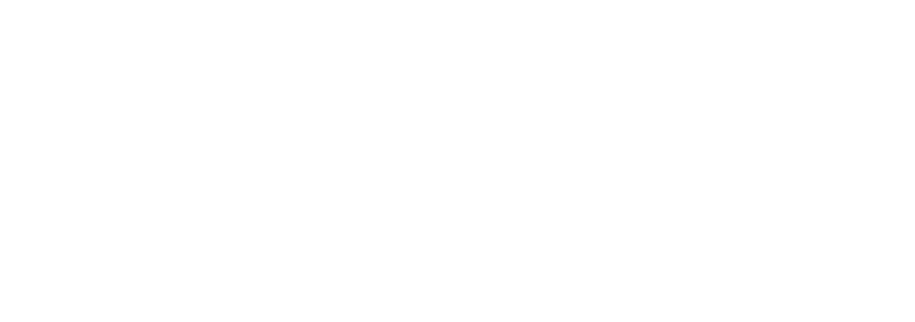 Amplify BIMS 2024 SIIA